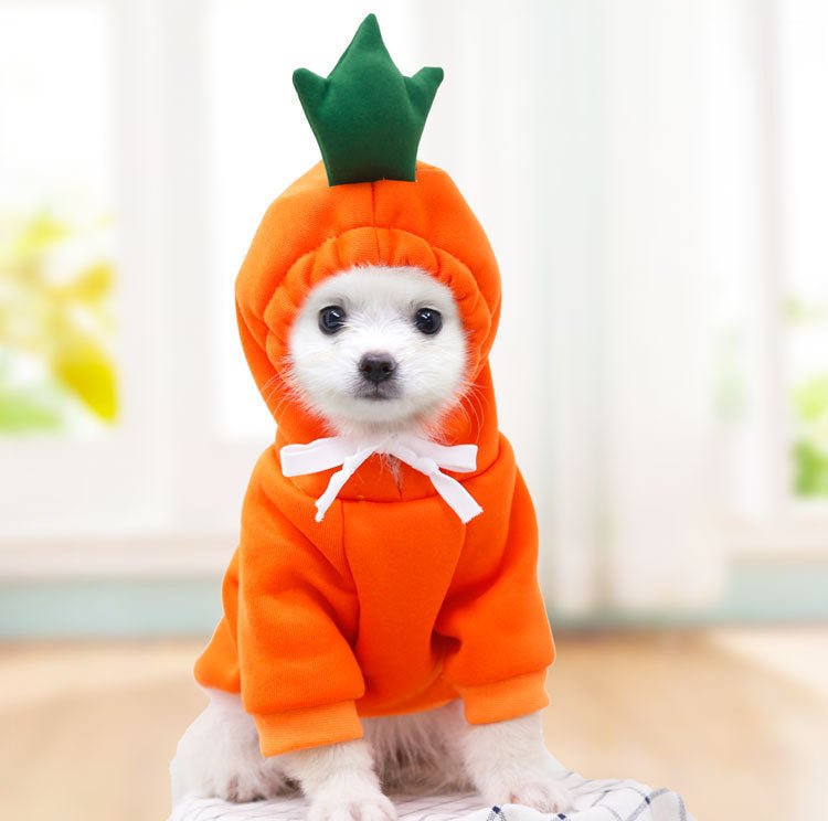 Hoodies for small dogs