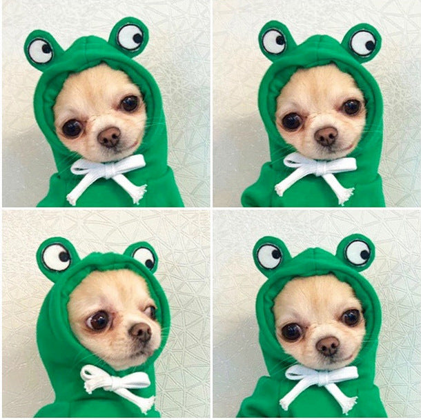 Hoodies for small dogs
