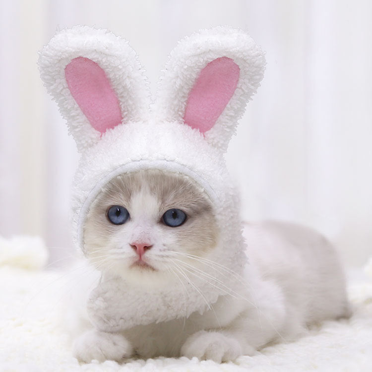 FluffyBunny Pet Hat