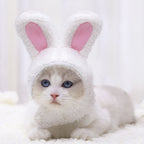 FluffyBunny Pet Hat
