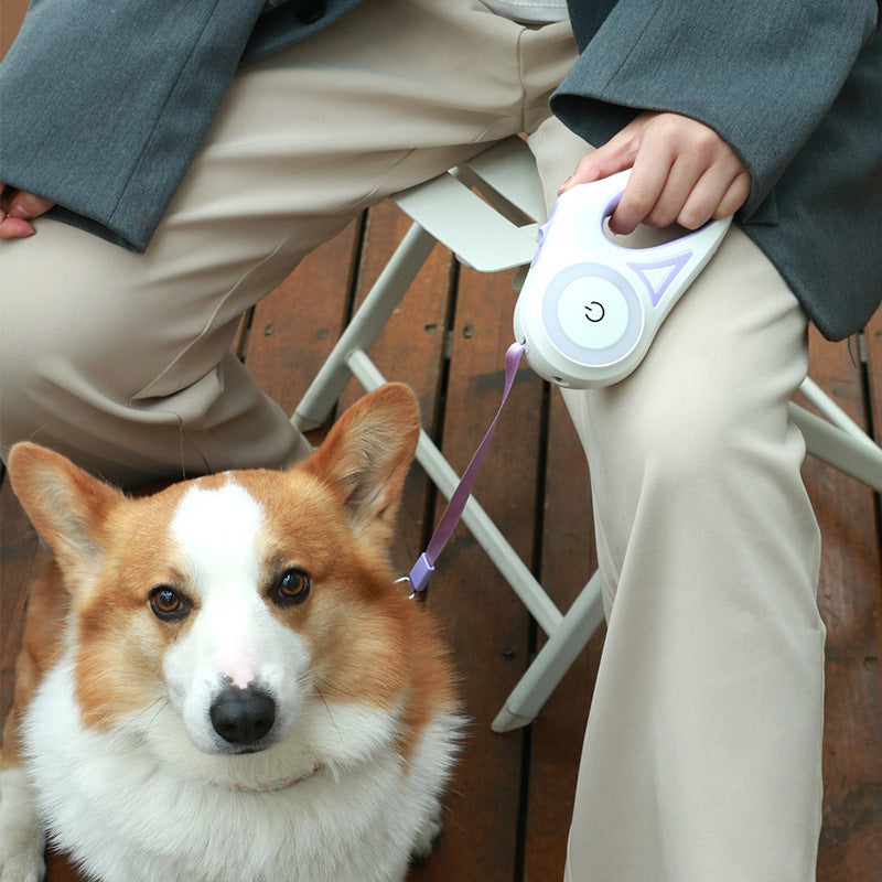 Leash For Small Medium Dogs
