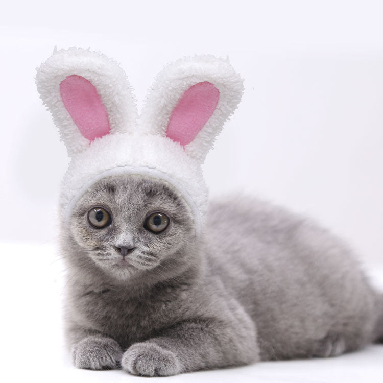 FluffyBunny Pet Hat