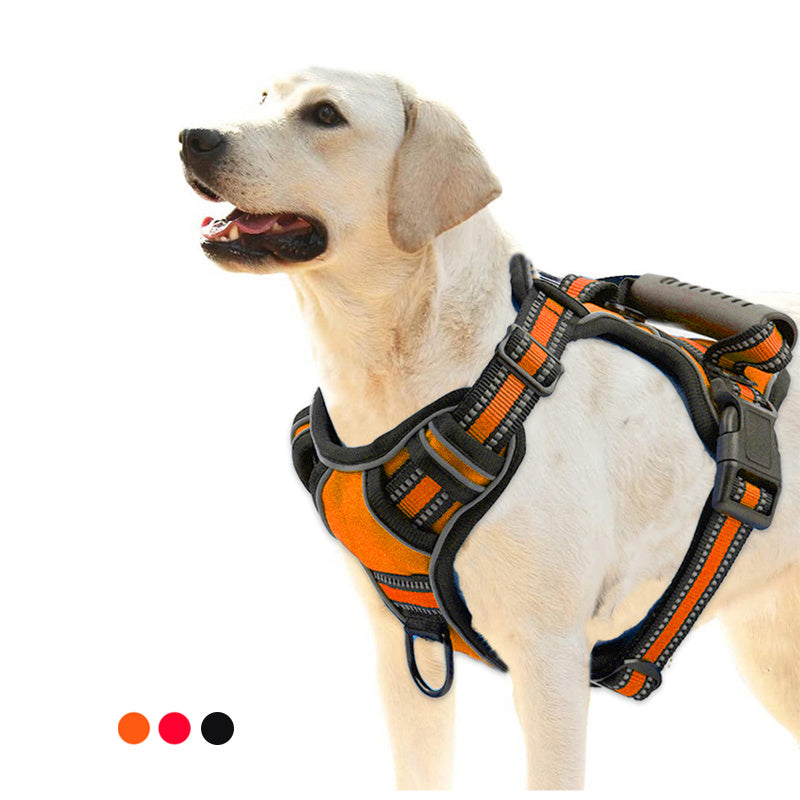 Front clip for dog sled